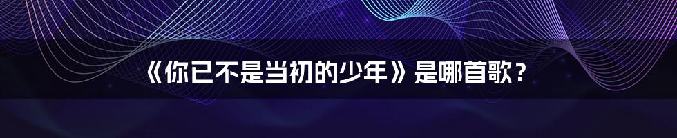 《你已不是当初的少年》是哪首歌?