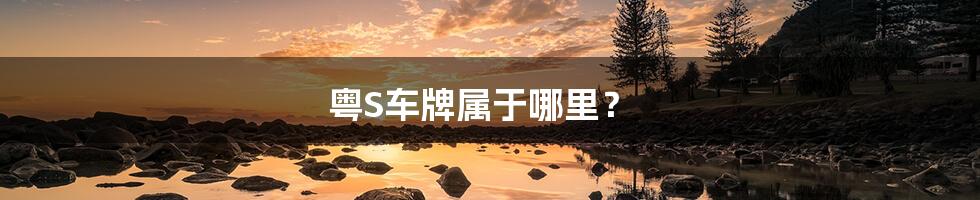 粤S车牌属于哪里?