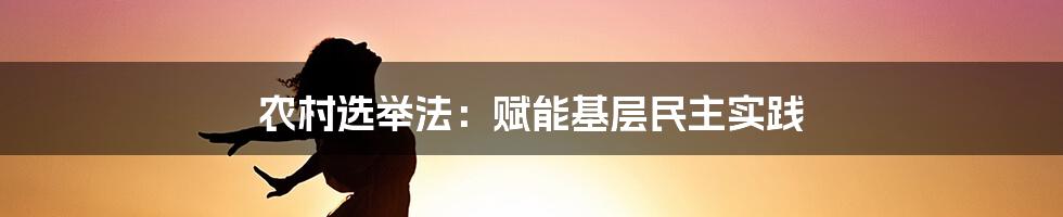 农村选举法：赋能基层民主实践