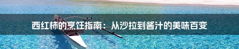 西红柿的烹饪指南:从沙拉到酱汁的美味百变