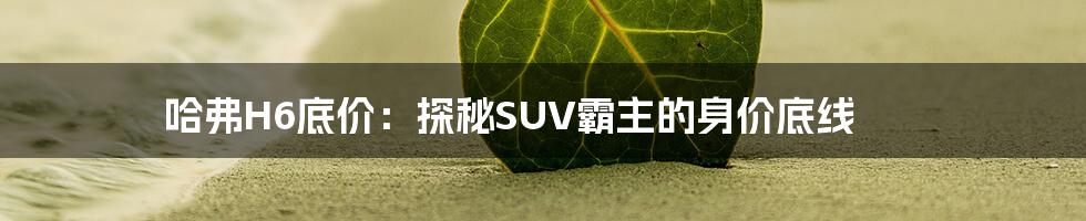 哈弗H6底价：探秘SUV霸主的身价底线