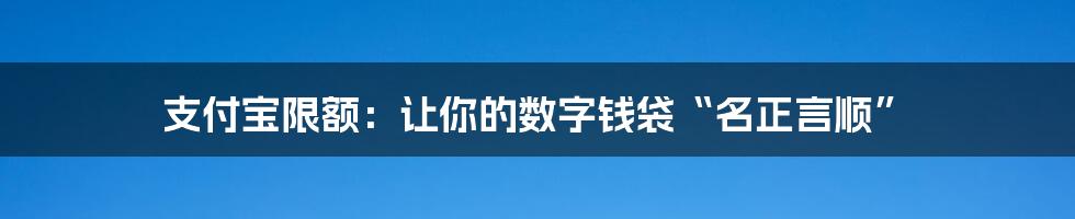 支付宝限额:让你的数字钱袋“名正言顺”