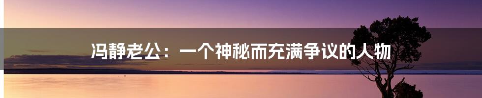 冯静老公:一个神秘而充满争议的人物