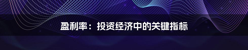 盈利率:投资经济中的关键指标