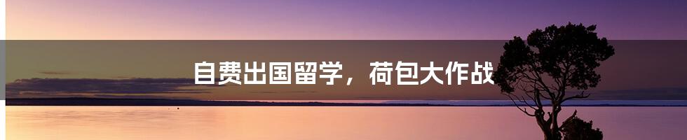 自费出国留学,荷包大作战