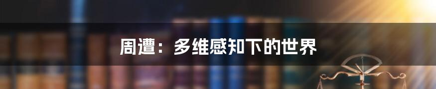 周遭:多维感知下的世界