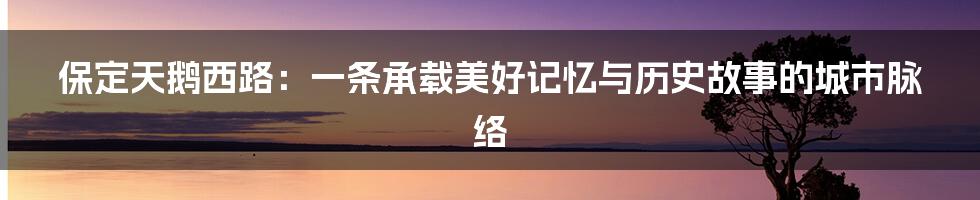 保定天鹅西路：一条承载美好记忆与历史故事的城市脉络