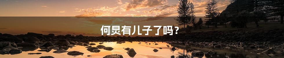 何炅有儿子了吗?