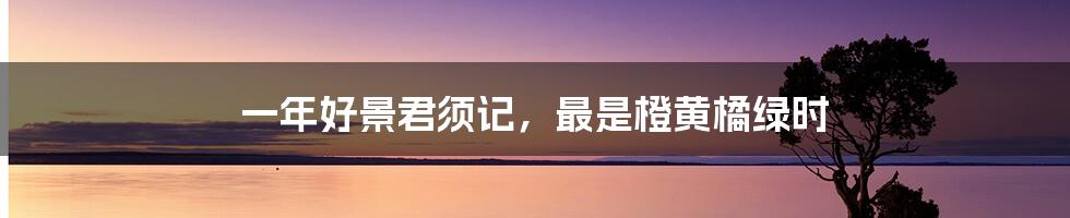 一年好景君须记,最是橙黄橘绿时