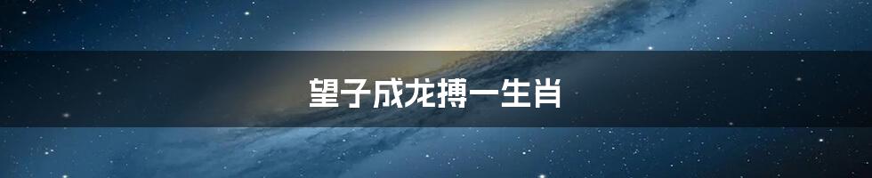 望子成龙搏一生肖