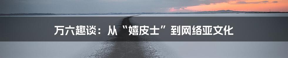 万六趣谈:从“嬉皮士”到网络亚文化
