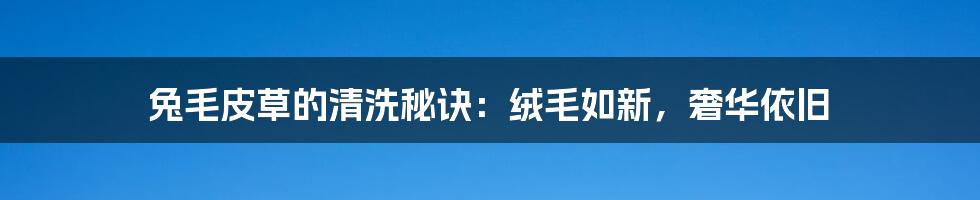 兔毛皮草的清洗秘诀:绒毛如新,奢华依旧