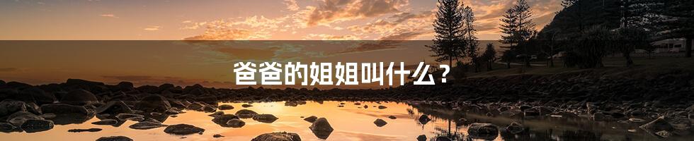 爸爸的姐姐叫什么？