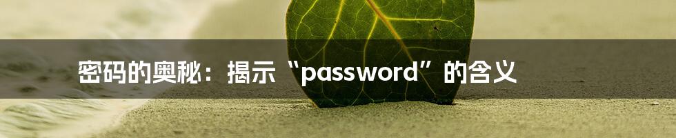 密码的奥秘:揭示“password”的含义