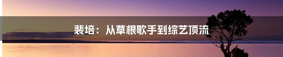 裴培：从草根歌手到综艺顶流