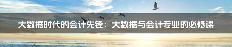 大数据时代的会计先锋:大数据与会计专业的必修课