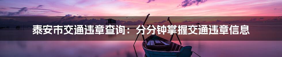 泰安市交通违章查询:分分钟掌握交通违章信息
