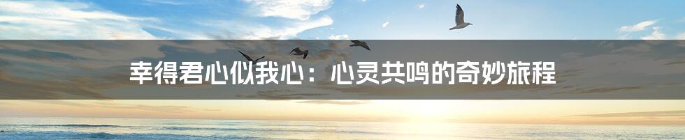幸得君心似我心:心灵共鸣的奇妙旅程