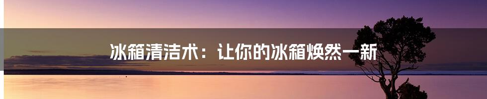 冰箱清洁术：让你的冰箱焕然一新