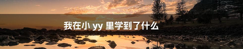 我在小 yy 里学到了什么