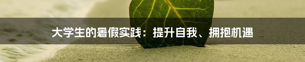 大学生的暑假实践：提升自我、拥抱机遇