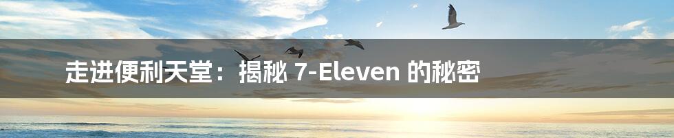 走进便利天堂：揭秘 7-Eleven 的秘密