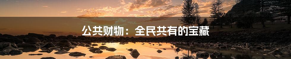 公共财物：全民共有的宝藏