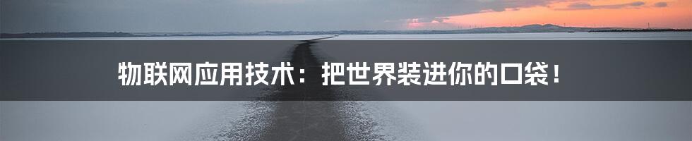 物联网应用技术:把世界装进你的口袋!