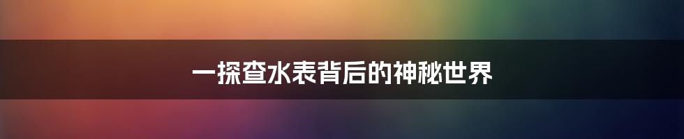 一探查水表背后的神秘世界