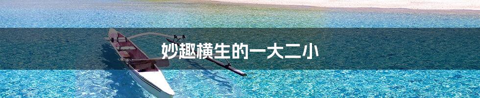 妙趣横生的一大二小