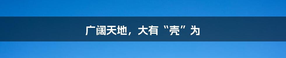 广阔天地，大有“壳”为