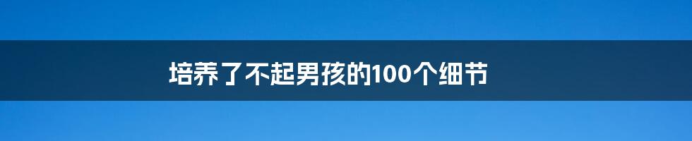 培养了不起男孩的100个细节