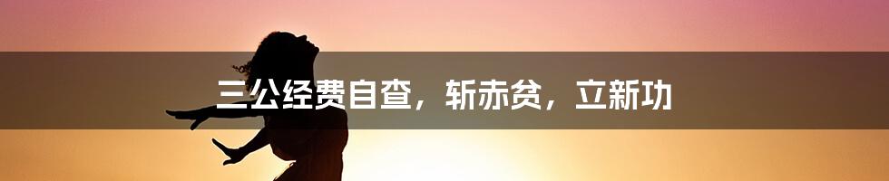 三公经费自查,斩赤贫,立新功