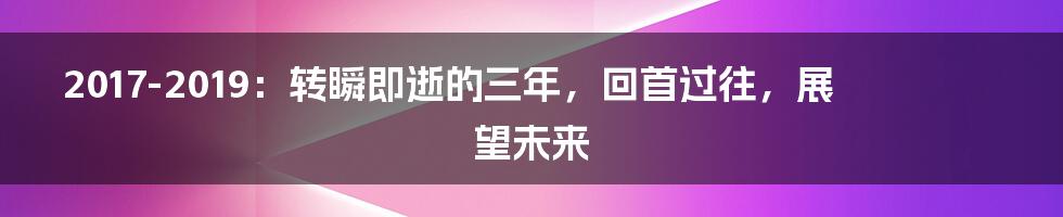 2017-2019：转瞬即逝的三年，回首过往，展望未来