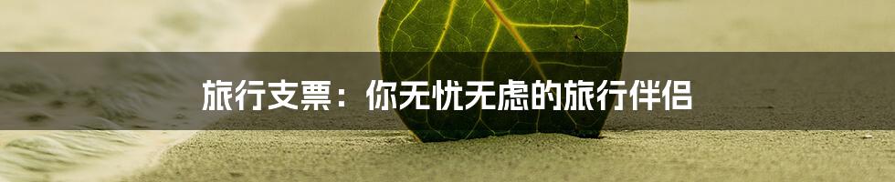 旅行支票：你无忧无虑的旅行伴侣