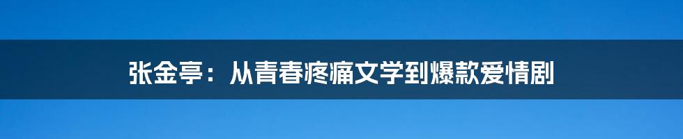 张金亭:从青春疼痛文学到爆款爱情剧