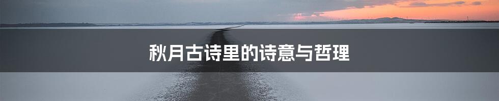 秋月古诗里的诗意与哲理