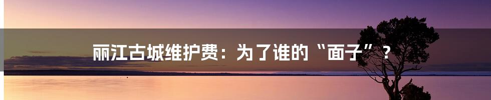 丽江古城维护费:为了谁的“面子”?