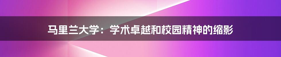 马里兰大学：学术卓越和校园精神的缩影