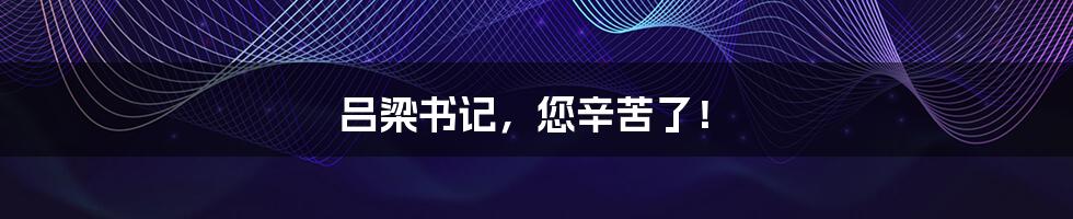 吕梁书记，您辛苦了！