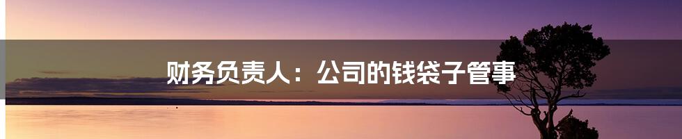 财务负责人：公司的钱袋子管事