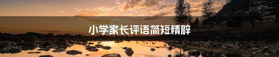 小学家长评语简短精辟