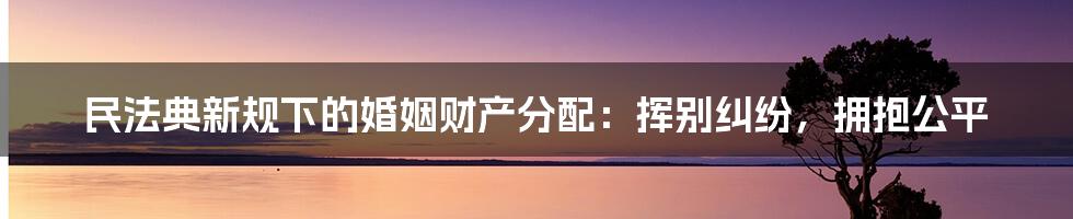 民法典新规下的婚姻财产分配:挥别纠纷,拥抱公平