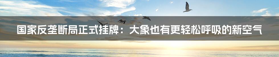 国家反垄断局正式挂牌:大象也有更轻松呼吸的新空气