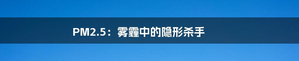 PM2.5：雾霾中的隐形杀手