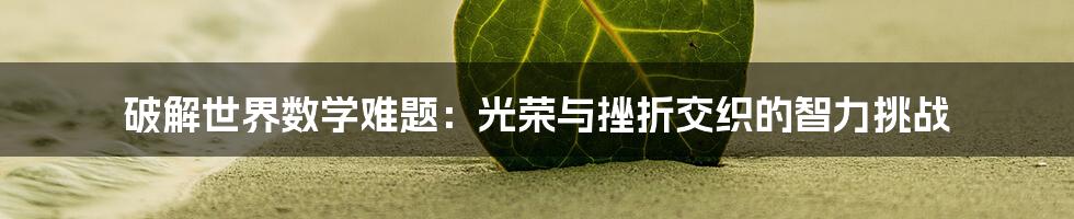 破解世界数学难题:光荣与挫折交织的智力挑战