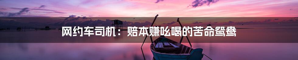 网约车司机:赔本赚吆喝的苦命鸳鸯