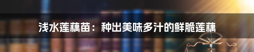 浅水莲藕苗:种出美味多汁的鲜脆莲藕