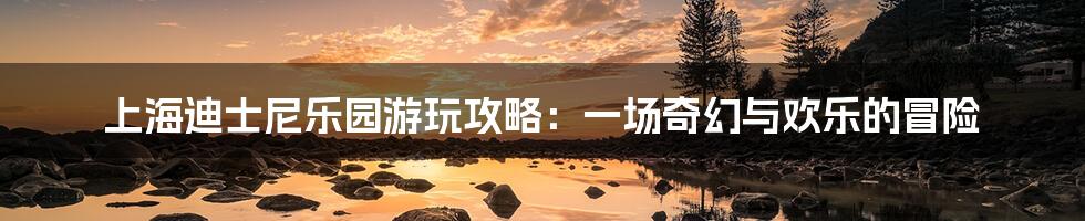 上海迪士尼乐园游玩攻略：一场奇幻与欢乐的冒险