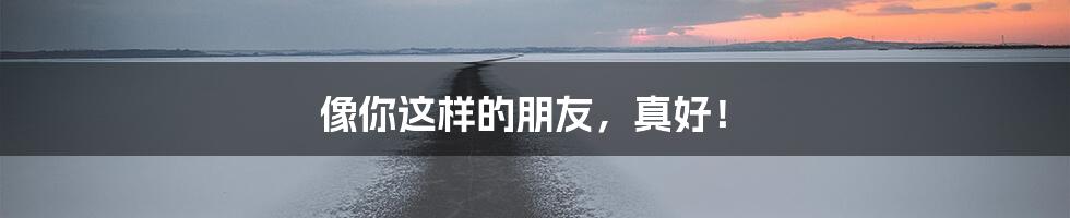 像你这样的朋友,真好!